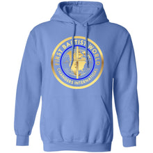 Load image into Gallery viewer, FBWC GOLD SERIES Pullover Hoodie