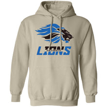 Load image into Gallery viewer, DETROIT LIONS 3