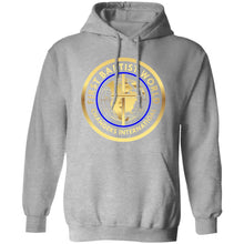 Load image into Gallery viewer, FBWC GOLD SERIES Pullover Hoodie
