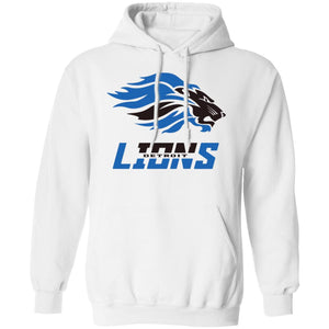 DETROIT LIONS 3