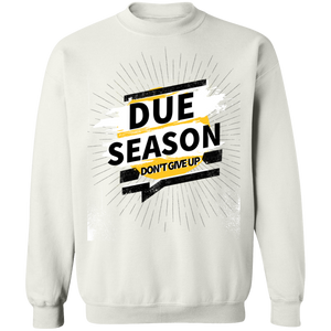 Due Season Pullover