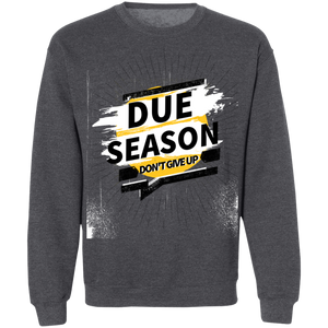 Due Season Pullover