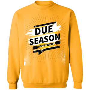 Due Season Pullover