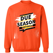Load image into Gallery viewer, Due Season Pullover
