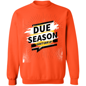 Due Season Pullover