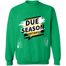 Load image into Gallery viewer, Due Season Pullover
