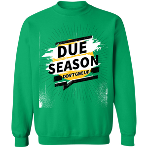 Due Season Pullover