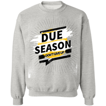 Load image into Gallery viewer, Due Season Pullover
