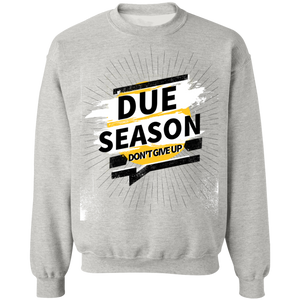 Due Season Pullover