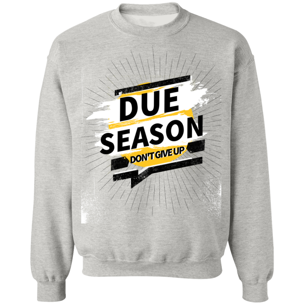 Due Season Pullover