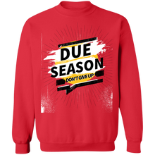 Load image into Gallery viewer, Due Season Pullover
