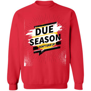 Due Season Pullover